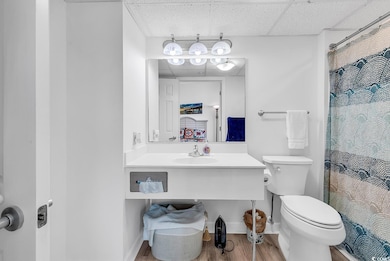 Full bathroom featuring toilet, wood finished floors, vanity, and a shower with curtain