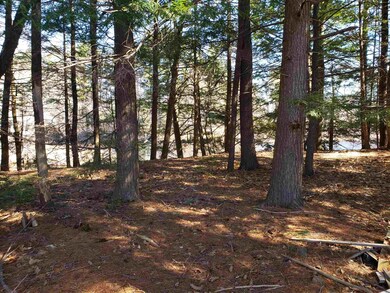 103 Martin Rd, Deering, NH 03244 - photo 4