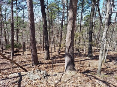 L23 Condry Ln, Bella Vista, AR 72714 - photo 3