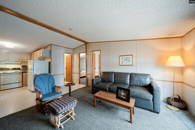 2342 Beaver Creek Rd, Camden, SC 29020 - photo 7