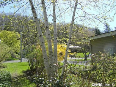 Yard/Garden