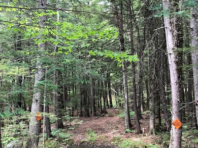 42 Forest Pond Rd unit 42, New Hampton, NH 03256 - photo 6