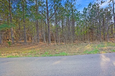 22 Cottrell Ridge Rd, Dover, TN 37058 - photo 7