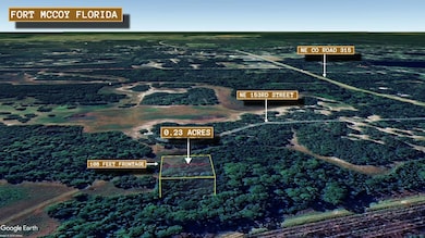 Fort Mc Coy unit FL 32134, Fort McCoy, FL 32134 - photo 5