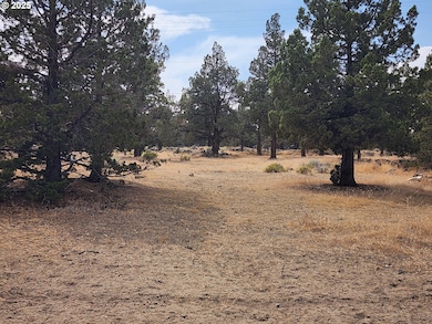 65432 78th St, Bend, OR 97703 - photo 6