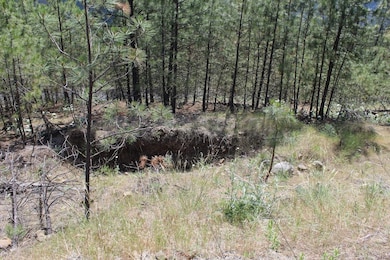 Badger Lot 1&2 Sontag Ridge Ln, Davenport, WA 99122 - photo 4