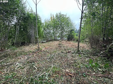 0 Bear Rd unit 653700348, Seaside, OR 97138 - photo 2