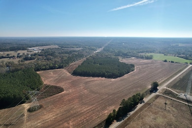 Lot 8 County Road 6, Headland, AL 36345 - photo 4