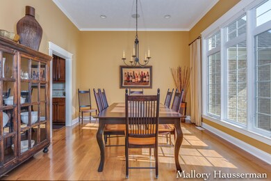 13259 Burroughs St NE, Lowell, MI 49331 - photo 5