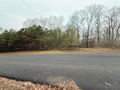 0 6th Ct NE, Vernon, AL 35592 - photo 2