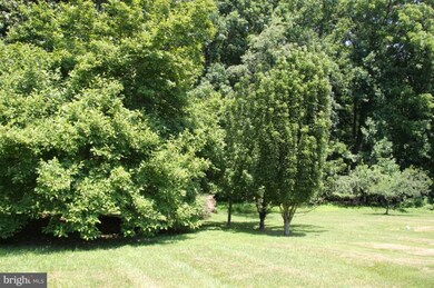 14319 Dairydale Rd, Baldwin, MD 21013 - photo 6