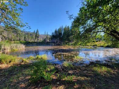 54432 Mckenzie Hwy unit 9, Blue River, OR 97413 - photo 2