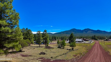 210 N Stoneman Blvd, Williams, AZ 86046 - photo 5