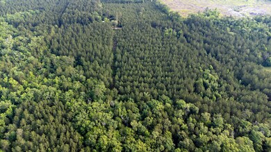 Blue Sparks SC Land for Sale-06