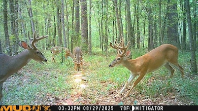 XX1 Highway 2, Campbellton, FL 32426 - photo 3