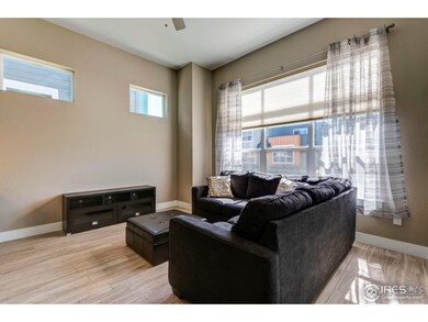 851 Baum St unit D, Fort Collins, CO 80524 - photo 4