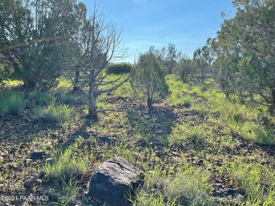 1422 N Murdo Way, Ash Fork, AZ 86320 - photo 5