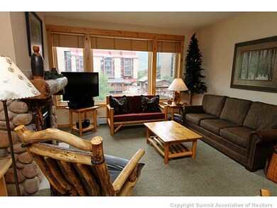 Living Room. Sleeper sofa in the living area adds