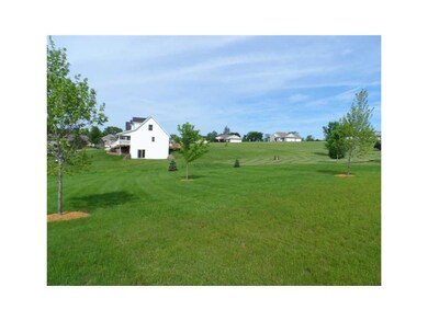 Yard. 1.25 acre lot with plenty of newly planted t