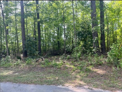 0 Robin Dr, Bamberg, SC 29003 - photo 3