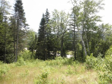 6 Lost Pass Rd, Waterville Valley, NH 03215 - photo 5