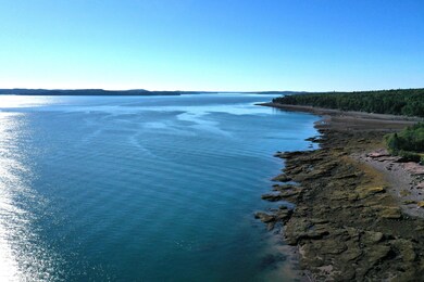 357 Shore Rd, Perry, ME 04667 - photo 4