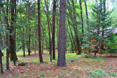 Nice tree cover, with enough space to allow for su