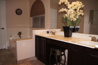 Master Vanity / Tub