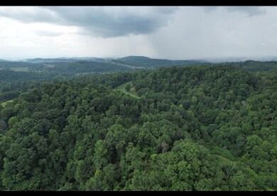 1655 Lester Whitt Rd, Rutledge, TN 37861 - photo 5