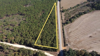 001 Open Pond Rd, Florala, AL 36442 - photo 4