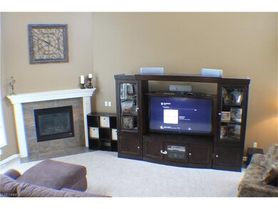 CUSTOM GAS FIREPLACE IN THE FAMILY ROOM. VIEW FROM