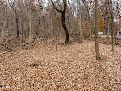 211 Rocky Branch Rd, Blountville, TN 37617 - photo 5