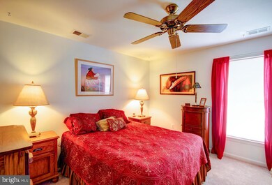 2003 Rudy Serra Dr unit 3C, Sykesville, MD 21784 - photo 5