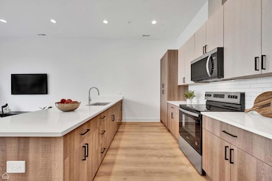 1615 W 13th St unit 200, Chicago, IL 60608 - photo 7