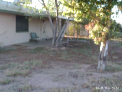 back yard