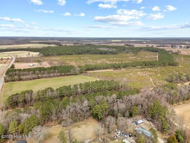 DJI_20250307120534_0576_D