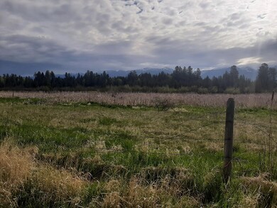 wetlands
