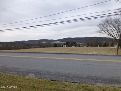 Stump View