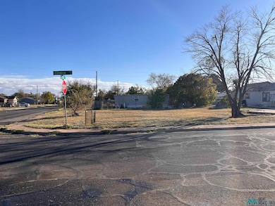 515 E Clinton St, Hobbs, NM 88240 - photo 2