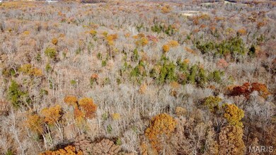 Tract 1 Polston Ln, Hickory Grove Township, MO 63357 - photo 6