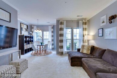 1515 N Point Dr unit 203, Reston, VA 20194 - photo 6