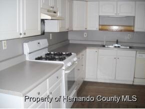 29046 Forbes St, Nobleton, FL 34661 - photo 3