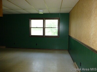 244 N Pitt St, Virginia, IL 62691 - photo 5