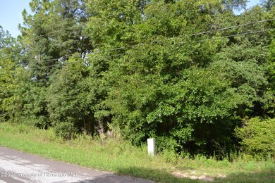 Street view right