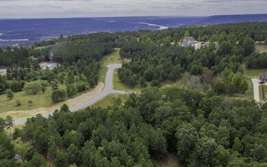 0 Bear Trace Dr unit RTC2722776, Jasper, TN 37347 - photo 5