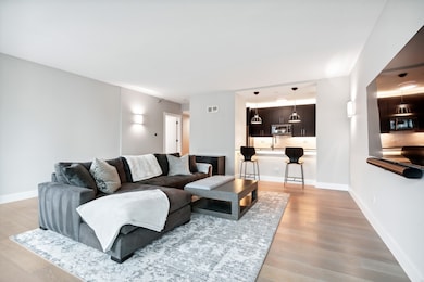 Kinzie Park unit 2004, Chicago, IL 60654 - photo 6