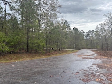 Lot 2 Jacquelyn Ct, Bainbridge, GA 39819 - photo 4