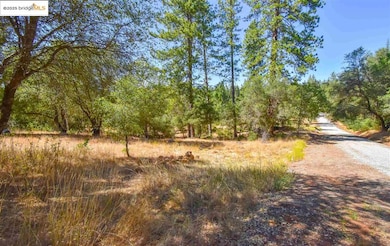 Par B Sawmill Flat Rd, Sonora, CA 95370 - photo 2