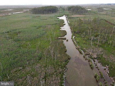 2673 Wesley Church Rd, Crapo, MD 21626 - photo 4