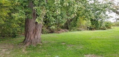 Backyard!